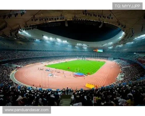 海星体育真人版引发热议，创新玩法带来全新观赛体验