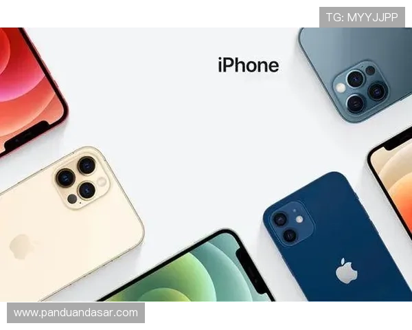 利用球探网比分直播平台提升你的体育赛事信息获取效率